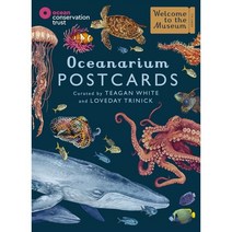 Welcome To The Museum : Oceanarium Postcards, Big Picture Press