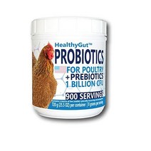 Equa Holistics 닭과 가금류를 위한 건강한 내장 생균제 천연 소화 시스템 식이 보충제 30 스쿱, 720 Grams | 90 Scoops