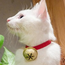 펫니멀리즘 고양이 방울 목걸이 황금방울 원터치 목걸이, 블랙