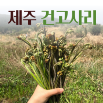 테이블지니 2022년 제주 건 고사리 햇고사리 자연산 야생 말린 먹고사리, 제주 건고사리 400g, 1개