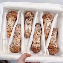 자연산 송이버섯, 1kg 2품