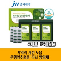 징코 은행잎 추출물 비타민E 아연 500mg x 90캅셀 4세트 12개월분