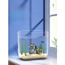 아크릴수족관 활어 수조 해수어 어항 수초 물고기