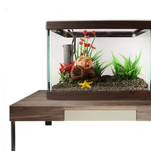 [바보사랑] 고운물(소) 난조화 구피세트 - (구피어항 어항세트), 상세 설명 참조