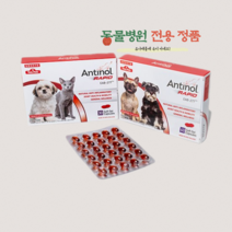 바이오라인/ 안티놀 래피드 천연 관절영양제 30정/60정/90정 [antinol rapid]/동물병원정품, 90캡슐