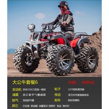 산악 4륜 오토바이 화물 ATV 바이크 구동 오프로드 빅 불 가솔린 전동 샤프트 드라이브 전 지형, 빅 불 세트 6
