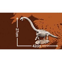 한반도공룡뼈화석발굴 부경고사우르스 [XLD3]