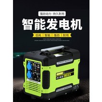 소형발전기 캠핑용발전기 무소음발전기 가솔린 발전기 3kw 음소거 야외 소형 주파수 변환 2kw 220v 비상 가정 RV 주차 24v, 없음