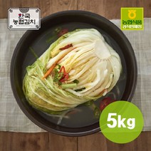 농협식품 국내산 100% 한국농협김치 백김치 5kg, 1개