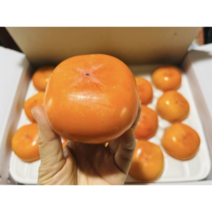 청도반시 5kg 씨없는 홍시 연시 감 대봉감 단감 반시 아이스홍시 곶감용 선물용 선물세트 연시감 홍시감 가을 간식 디저트, 5kg(중과/41~45과), 1개