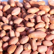 2021년 고소한 영양가득 국내산 햇 생 땅콩 1kg 깐땅콩 햇땅콩 영주땅콩 산지발송