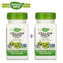 네이처스웨이 옐로우독 소리쟁이 뿌리 500mg 100정 x2, 2개