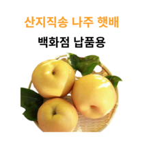 [아삭아삭] 달달하고 맛있는 국내산 배 명품 선물세트 성환배 안성배 (보자기 증정), 1세트, 10kg 나주햇배 (백화점납품용)