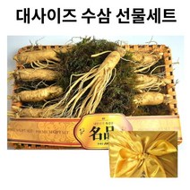 금산 인삼 선물용 고급 인삼 수삼선물세트 750g 1kg 정품 5년근 원수삼 국내산, 2. 프리미엄 수삼세트 1kg  12-14뿌리