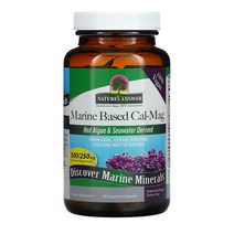 네이처스앤서 칼마디 해조 칼슘 수산화 마그네슘 120베지정