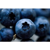 [특등급] 생블루베리400G 블루베리 요즘과일 블루베리 블루베리효능 블루베리주스 블루베리묘목 생블루베리 블루베리묘목재배 블루베리즙 블루베리나무 블루베리청, 400G