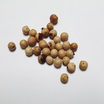 백량금씨앗30립