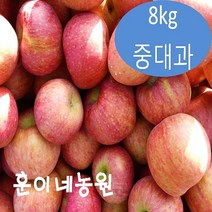 경북 안동 부사 흠과 가정용 못난이 꿀 사과 8kg 흠집 중대과, 단품