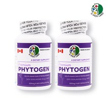 갱년기 여성 영양제 파이토젠 분말 정 캡슐 대두 이소플라본 여성호르몬제 천연 에스트로겐 콜라겐 당귀 세이지잎 토끼풀 pms 영양제 식약처 식약청 인증 60캡슐, 2캔, 오백미리그람x60캡슐