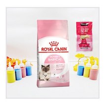 로얄캐닌 마더앤베이비캣2kg 임신 어린고양이 사료