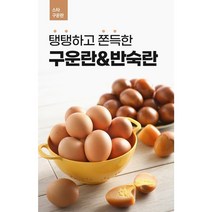 [스타] 반숙란 HACCP인증 구운계란 반숙란 30구, 1판