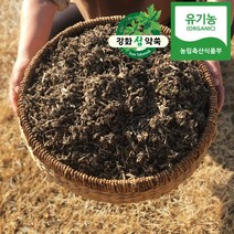 유기농 3년숙성 강화약쑥 건쑥 600g 쑥차 말린쑥 마른쑥 쑥차, 1개