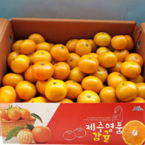 산지직송 제주도 서귀포 고당도 극조생감귤 제주 프리미엄 명품 감귤 가정용 새콤달콤 신선한 귤, 중대과(L-2L) 10kg