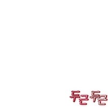 제철과일 자두 맛있는 노지자두 특과 1.5kg 대석자두, 제철과일 자두 맛있는 노지자두 특과 2kg 대석자두