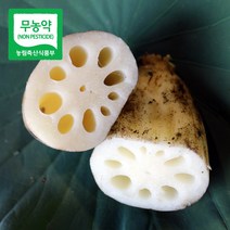 무농약 산지직송 통연근 햇연근 생연근 파지연근 2kg 3kg 15kg 특품, 1박스, 못난이(파지)연근 3kg
