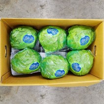 양상추 6통 3kg