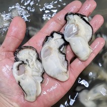 최상급 산지직송 통영굴 생굴 300g 1kg, 통영 생굴 (중대) 1kg