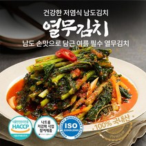 브랜드없음 전라도 열무김치 국산 김치주문 3kg 저염식 추천 당일제조, 단품없음