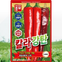 칼라강탄고추 씨앗 강탄고추 씨 종자 200립, 단품