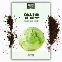 양상추씨앗 (700립)