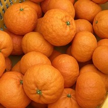 [팜니스] 제주 카라향 가정용 3kg 5kg 10kg 못난이, 카라향 못난이 3kg, 1개