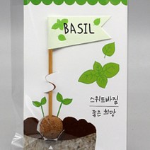 스위트 바질 키우기 서울주말농장 생바질 스마트팜교육 스윗바질씨앗 식용꽃 바질키우기 바질모종 6P