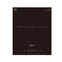 웰치 1구 빌트인 인덕션 WEI-100 전기레인지 자가설치, 빌트인(자가설치)