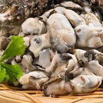 [천삼백케이] [골피아] 산지직송 제철 통영 생굴 1kg
