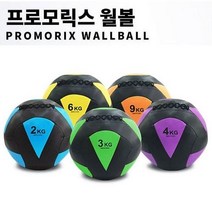 tscom 프로모릭스 월볼 메디신볼 토닝볼, 4kg퍼플