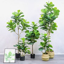 떡갈잎 고무나무 조화(150cm), 상세페이지 참조
