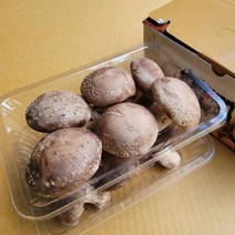 (강원)김삿갓 생표고버섯 200g*2개 소포장, 개