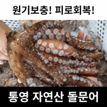 출근길마켓 통영 돌문어 활문어 자연산돌문어 1kg