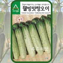 스낵오이 씨앗 40립 / 미니오이 종자 텃밭가꾸기 채소심기 채소키우기 웰빙맛짱