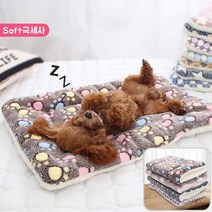 보들보들 극세사 강아지 쿠션 고양이 담요 이불 애견 방석 MK-C50, 아기곰
