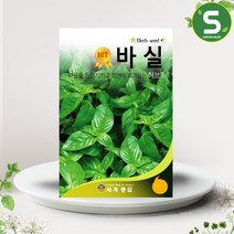 허브씨앗 바실씨앗 300립 바실 바질 허브씨 바질씨앗, 상세페이지 참조