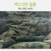 수족관 백스크린 필름 [바위] 1M/무접착/수조 DP