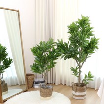 인테리어 조화 나무 인조 화분 제브라플랜트 2size, 120cm