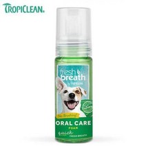 강아지 고양이 구강관리제품 발라주는 거품치약 4.5oz