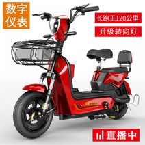 전기바이크 자전거 전동스쿠터 할리 배터리 오토바이, 48V, E