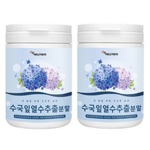 산수국 잎 추출물 수국 리세린지 열수 추출 분말 산수국차 수국차 가루 하이드란게놀 필로둘신 스킨 핏 이너뷰티 효능 국내산, 100g x 2병